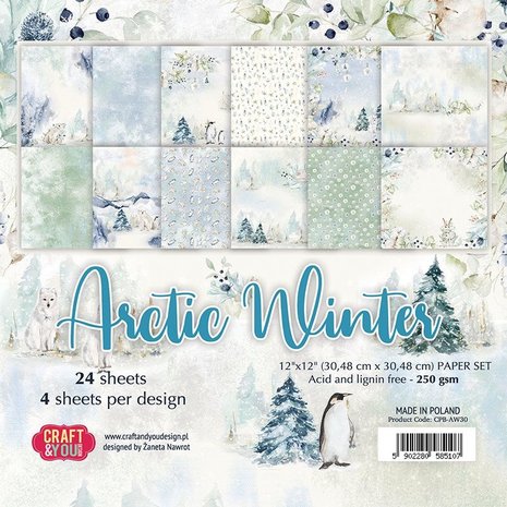 papierblokken/allerlei blokken/craft-you-design-arctic-winter-6x6-inch-paper-set.jpg